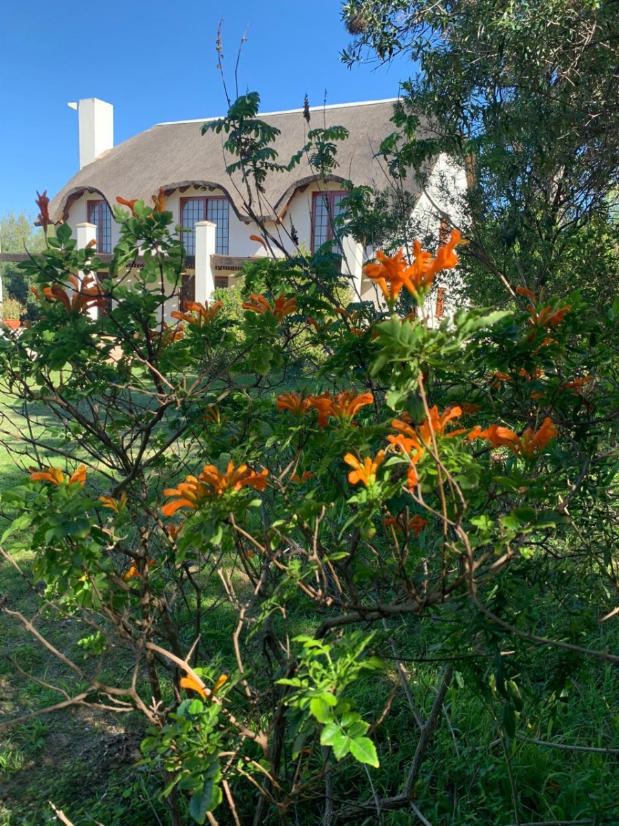 Commercial Property for Sale in Riebeek Kasteel Western Cape